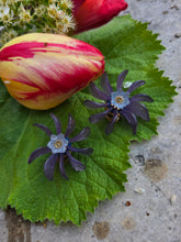 Charger l'image dans la galerie, Boucles d'oreilles Léane - Étoile Florale Mauve & Cristal Givré violet