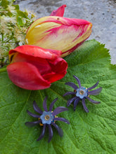 Charger l'image dans la galerie, Boucles d'oreilles Léane - Étoile Florale Mauve & Cristal Givré violet
